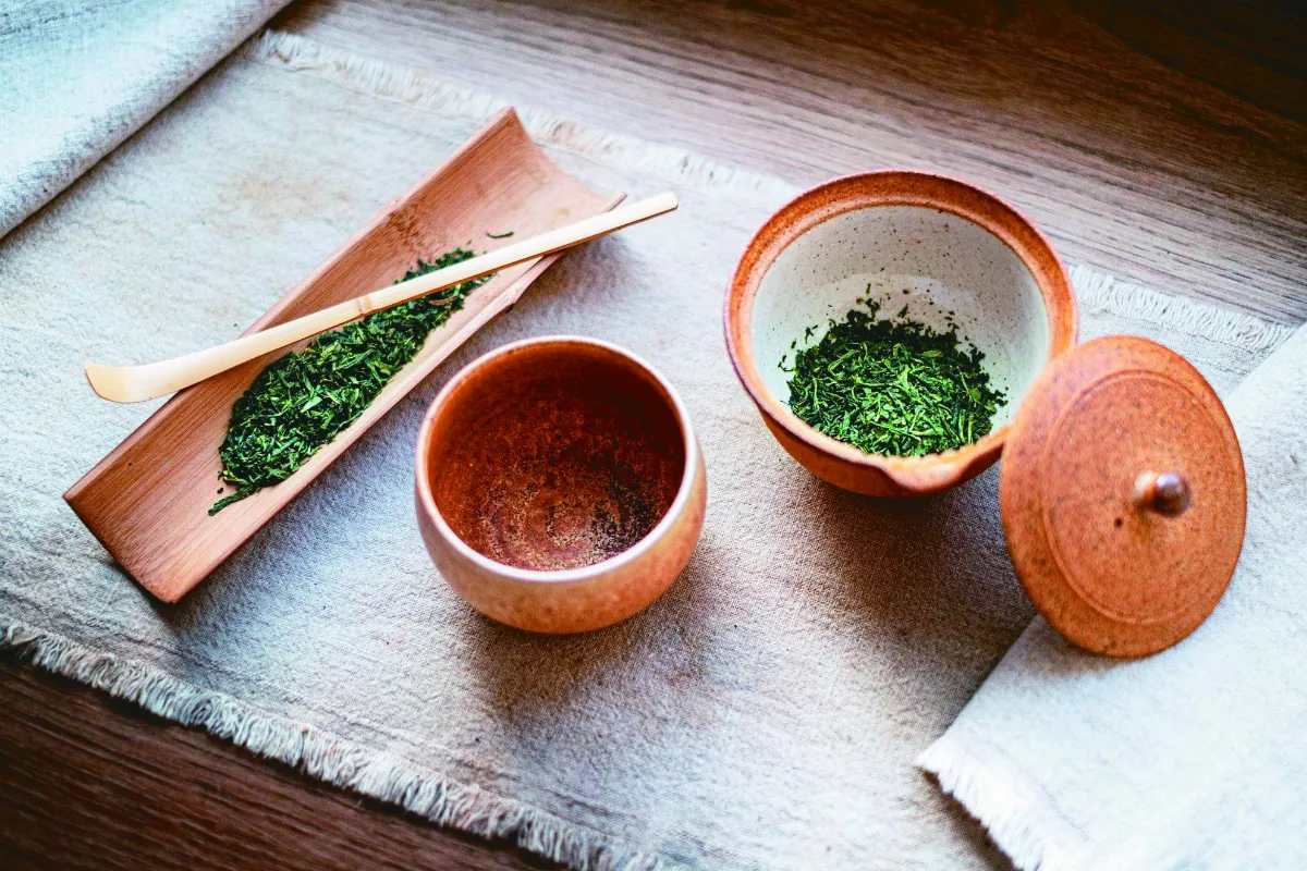 綠茶多酚抗老化 熱泡冷喝效果好