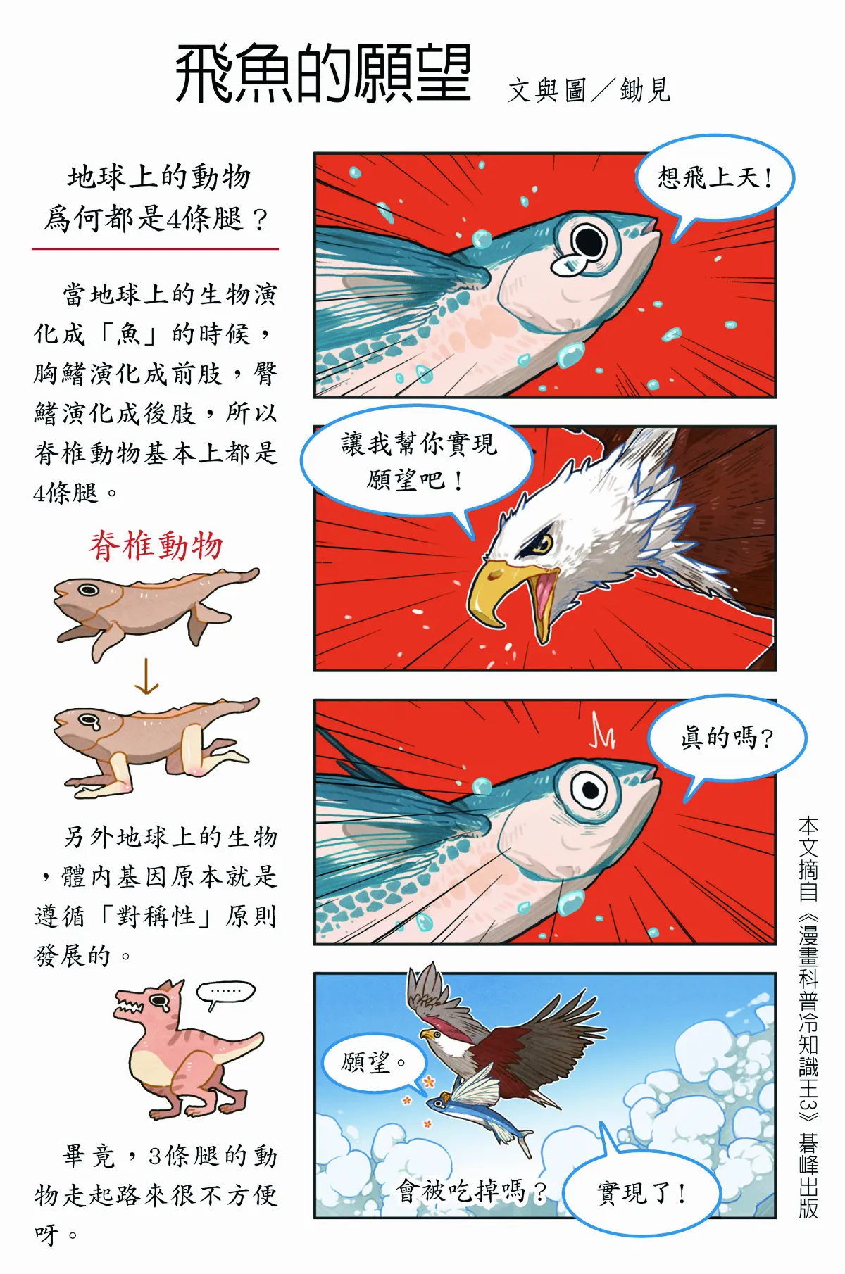 飛魚的願望
