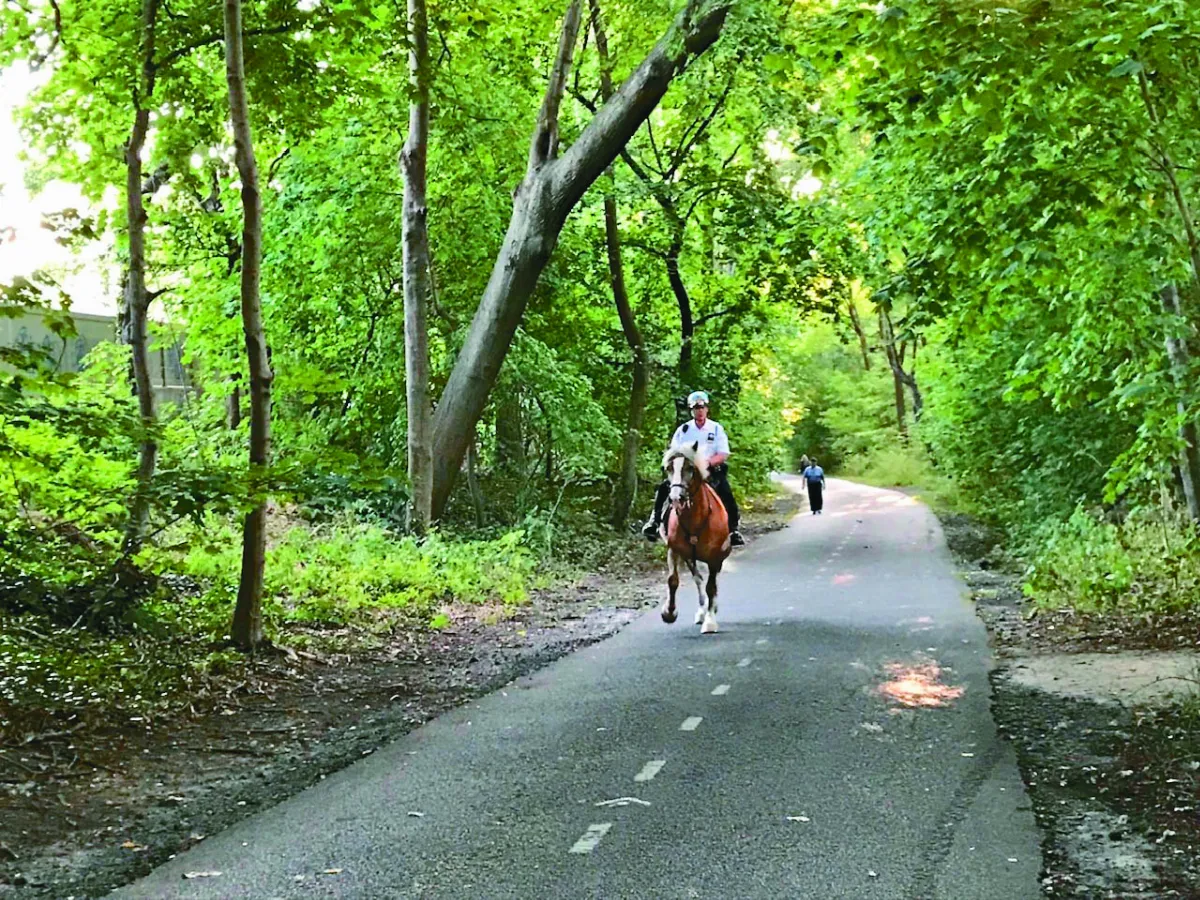 大蘋果．小世界 重整世界第一賽車道
