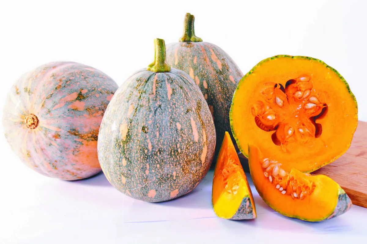 抗病毒  減糖南瓜主樂上市