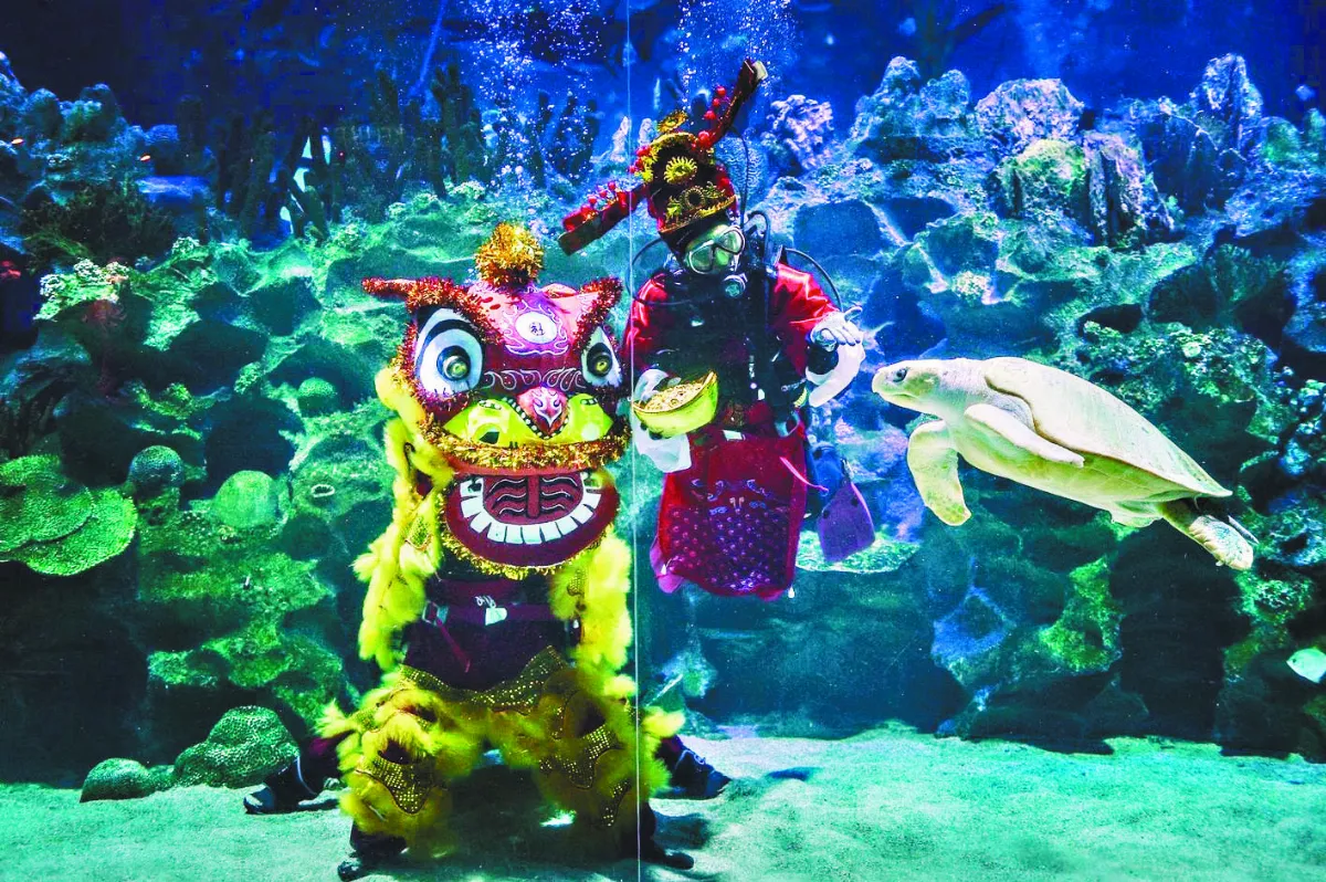 水中財神 拜早年