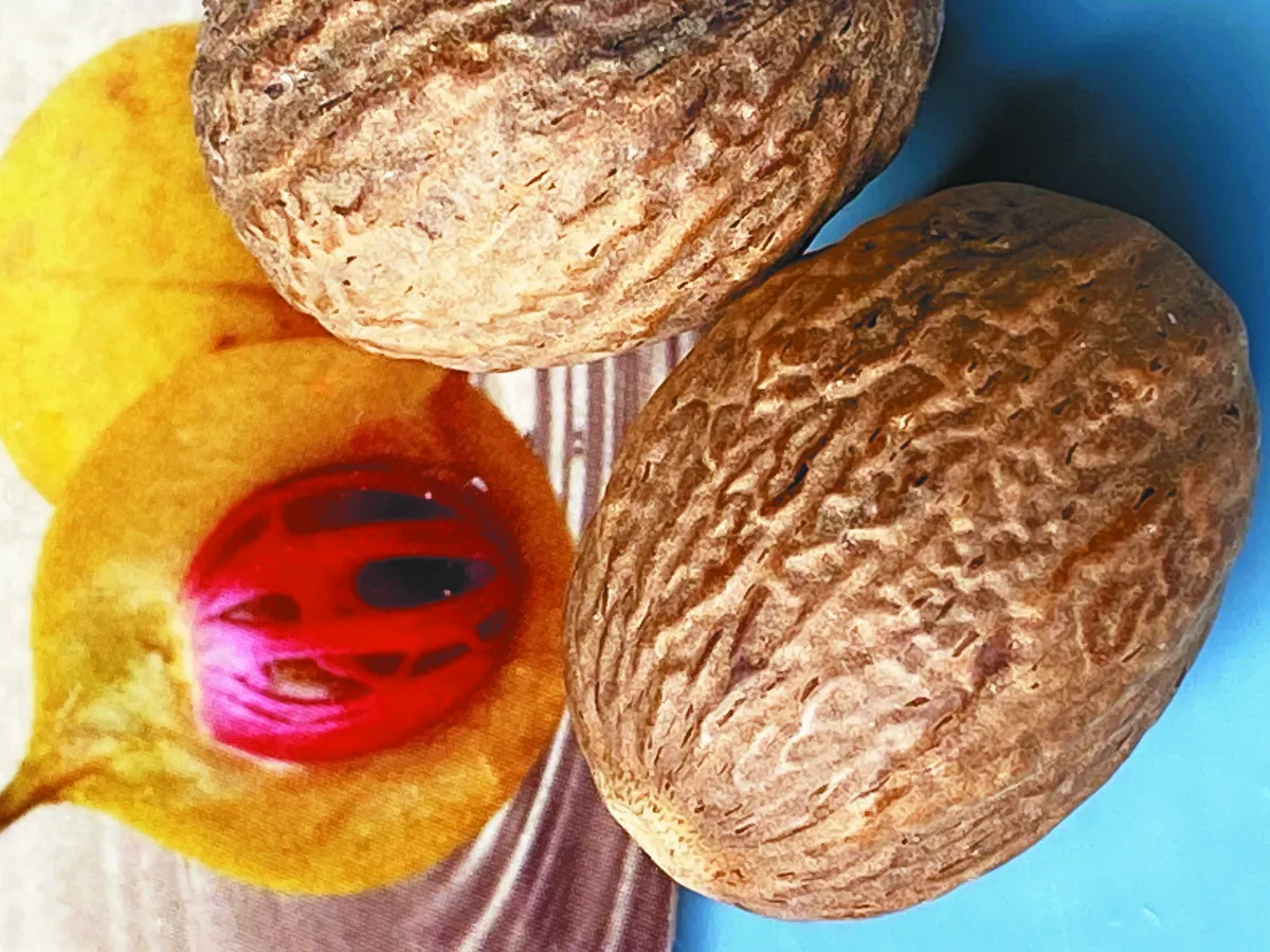 異鄉食情 圓滿皆寶 肉荳蔻