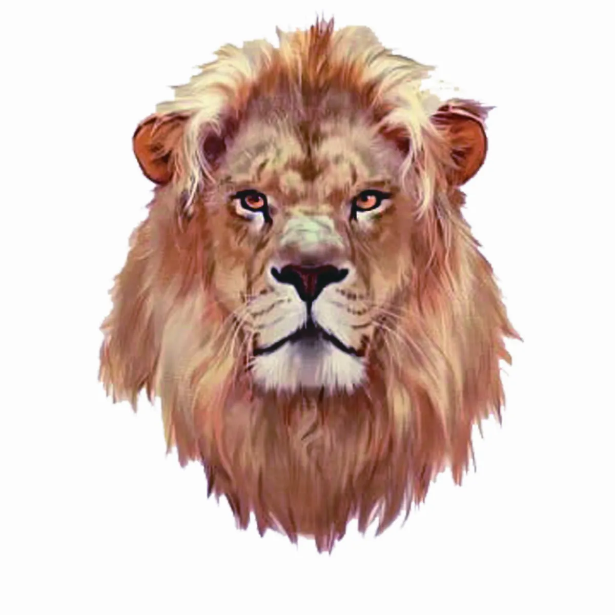 老虎 PK 獅子  誰勝出？