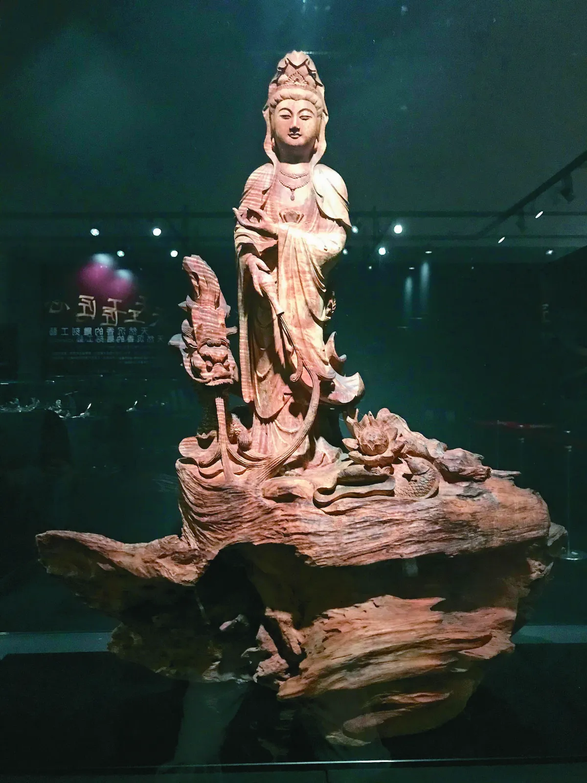 全球第2大白奇南香 嘉縣展出