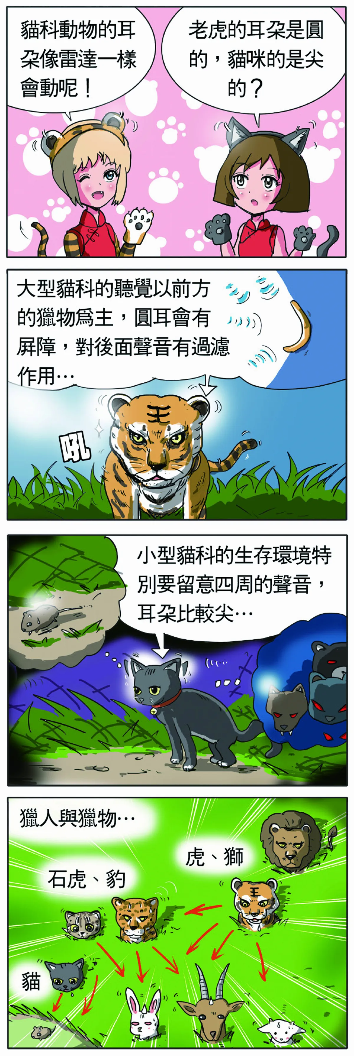 科學研究部 虎耳與貓耳