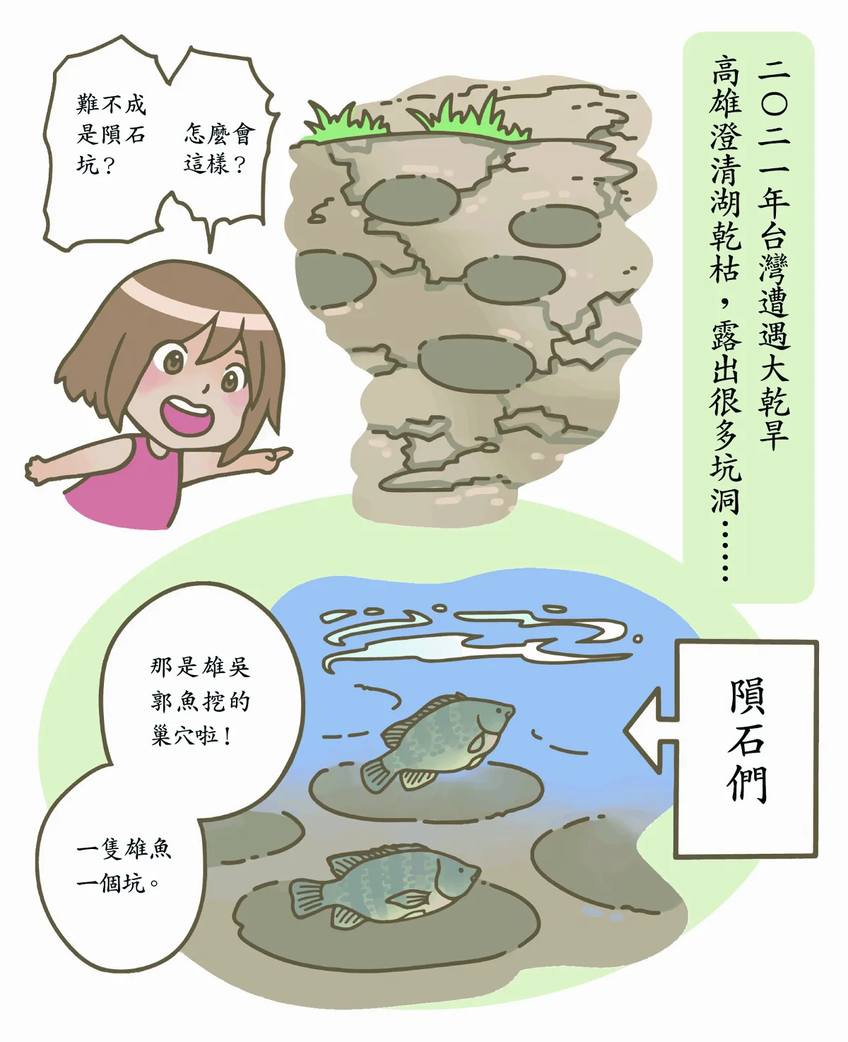 玉子手札 吳郭魚 家喻戶曉的外來魚