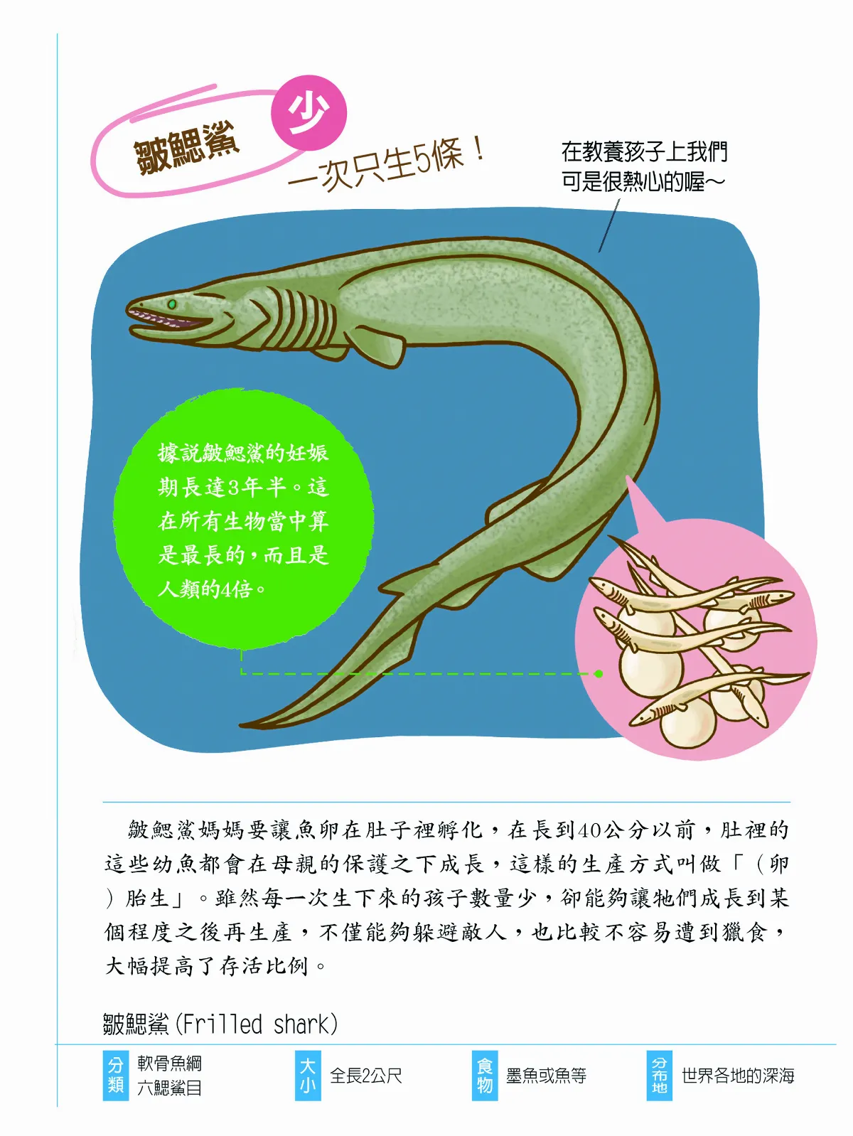 明明都是魚類 孩子數量差很大