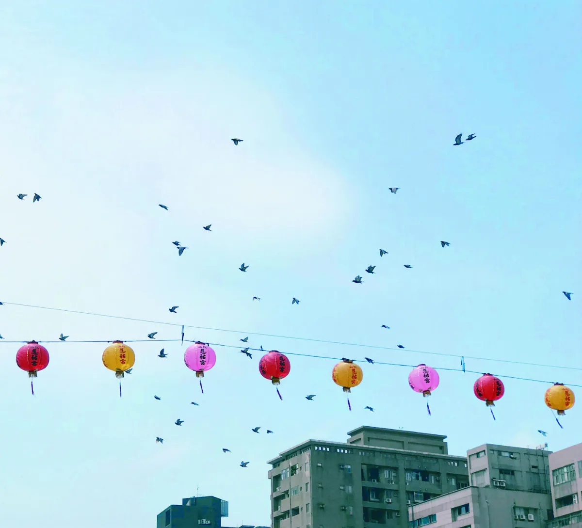 大自然之歌　天空上的五線譜