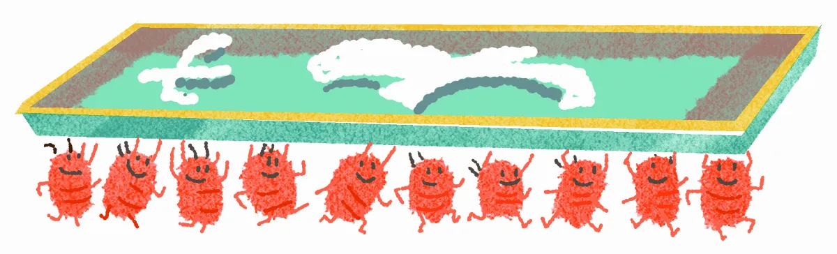 科學尬新聞  藝術與科學跨界合作  藥材甲蟲  油畫蛀蝕元凶