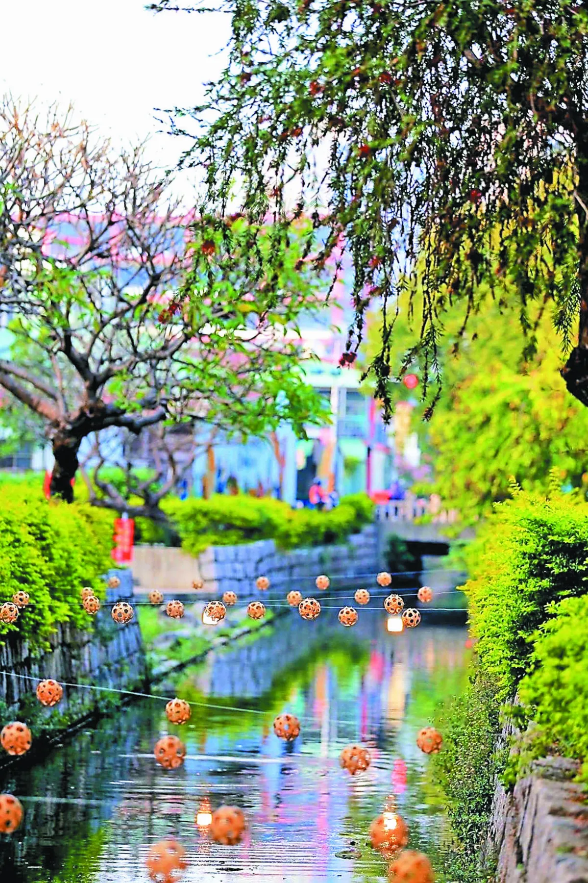 鳳山曹公圳 竹編燈火璀璨