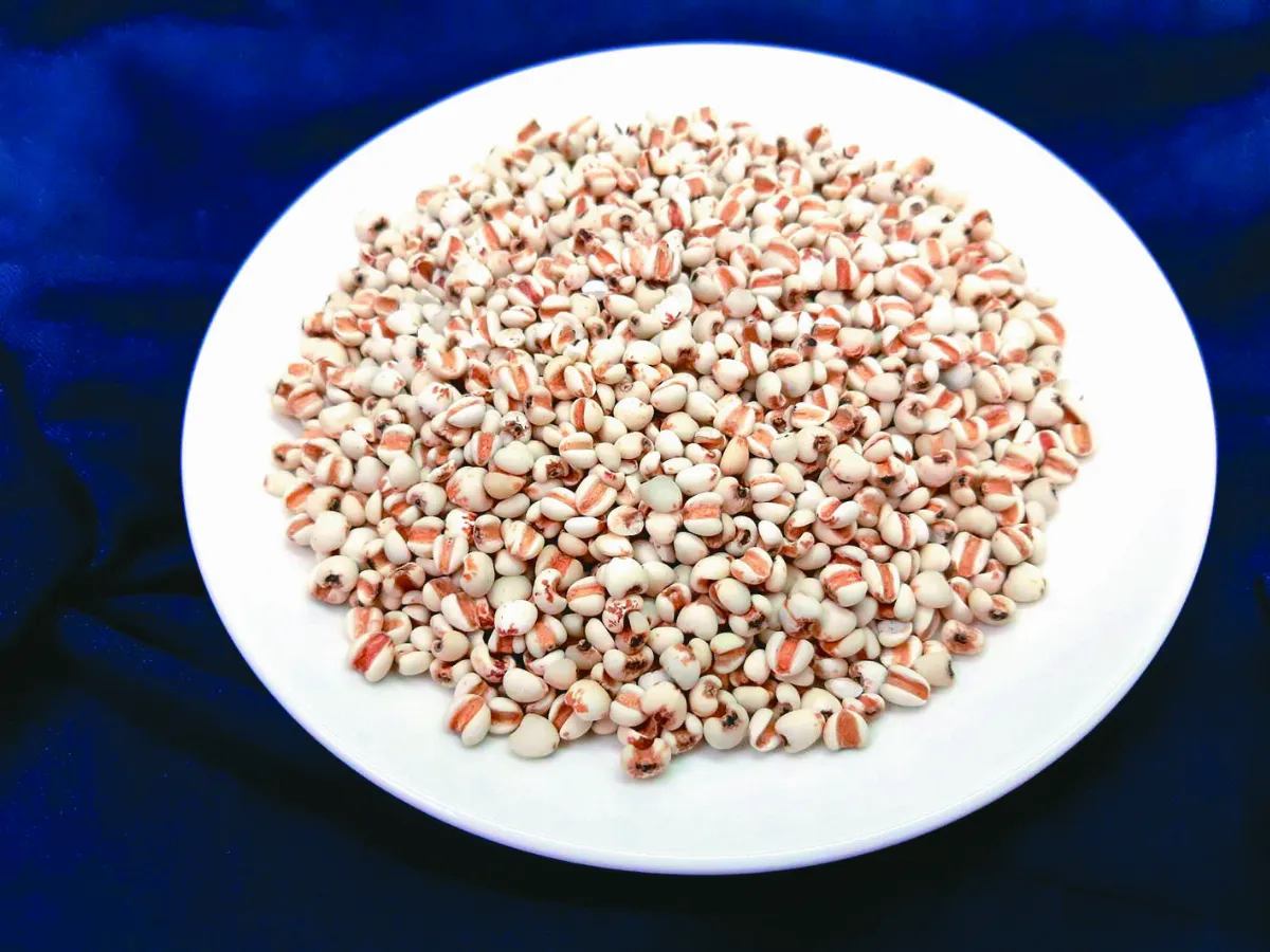 中醫專欄 如何排除體內溼氣？