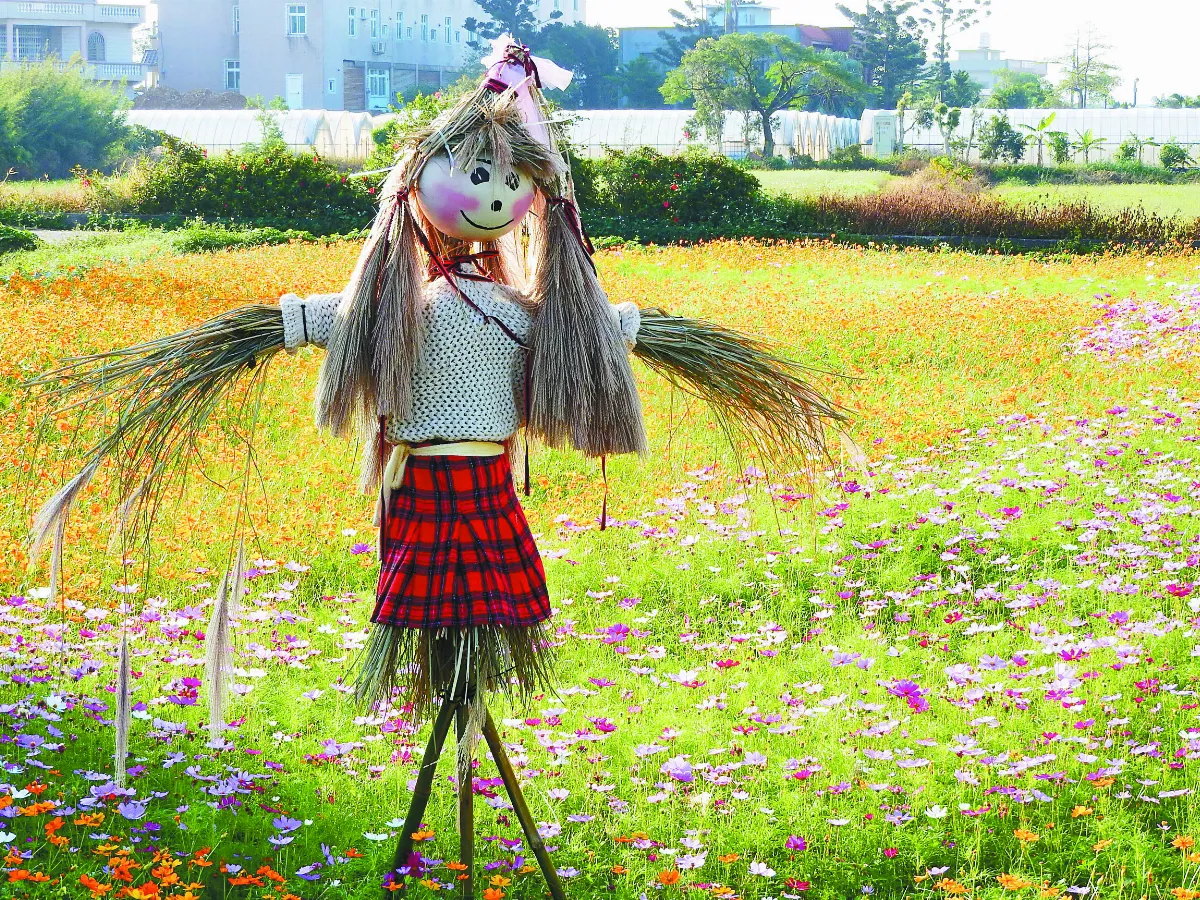 生活快門 花海美少女
