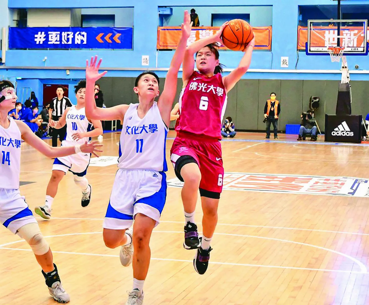 大專籃球賽 世新、台師大  2連勝