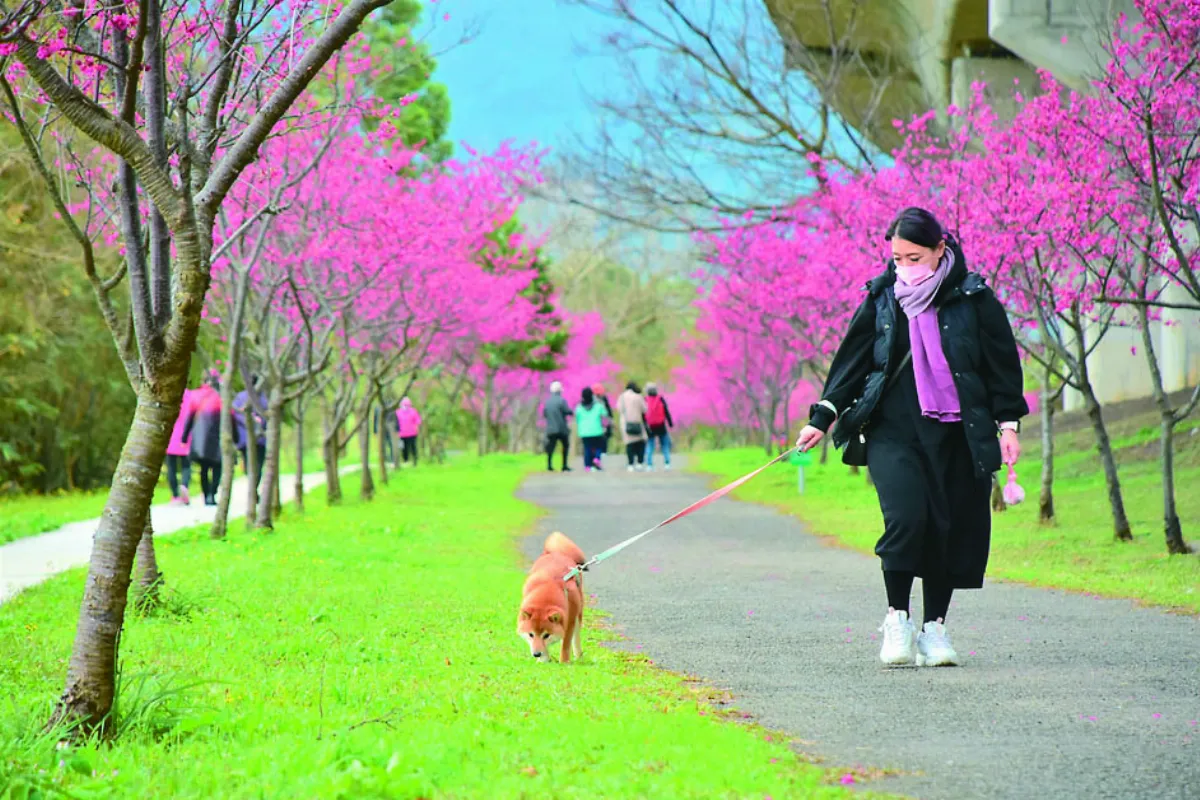 陰雨連綿 北台灣日照僅 45 小時  70 年最少