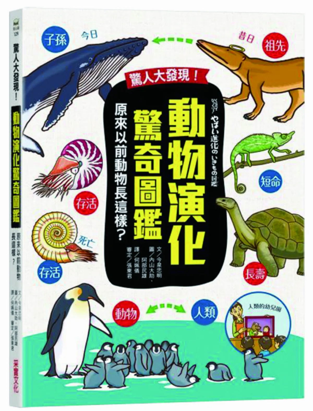 明明都是齧齒類 巢穴大小差太多