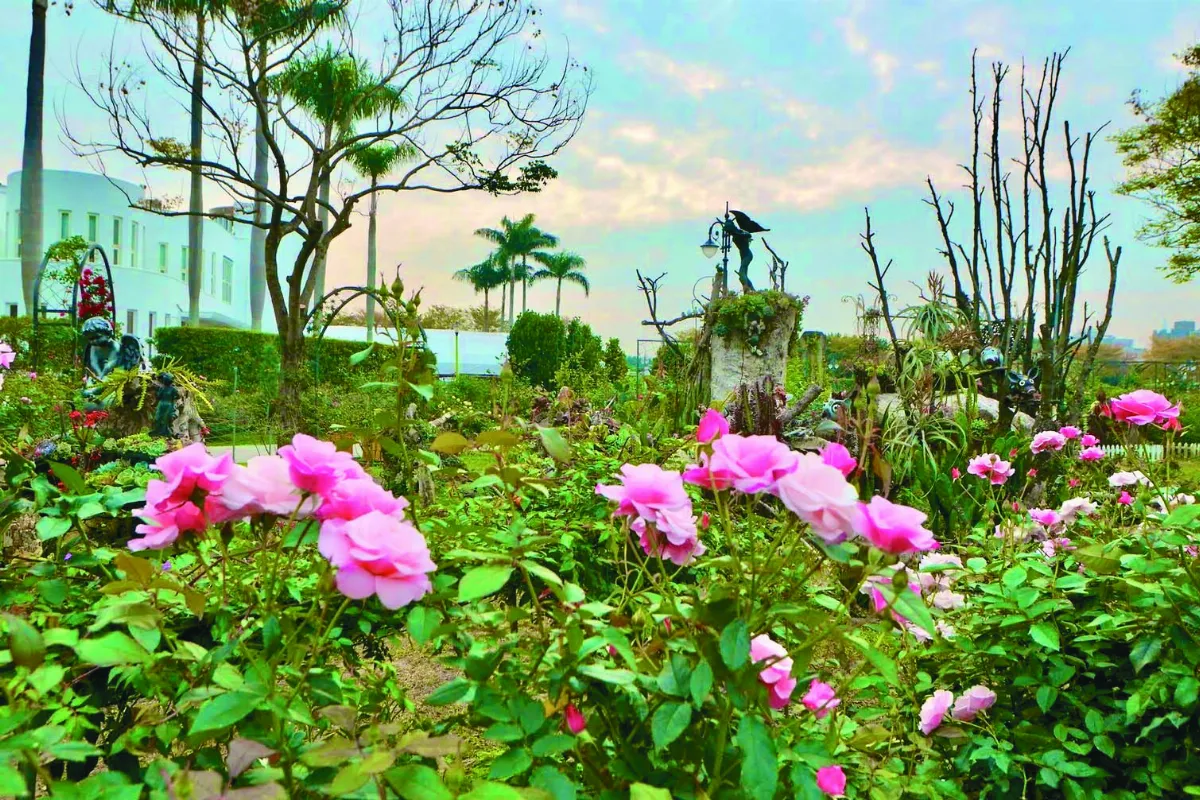 台北玫瑰祕密花園  浪漫開箱