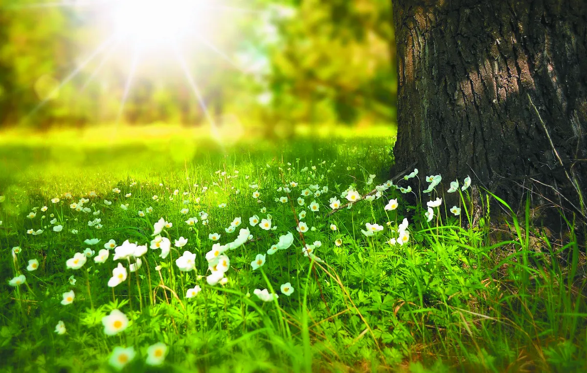 愛是最好的武器