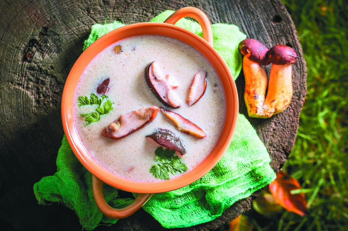 春日養生從肝開始 苦味蔬菜排毒