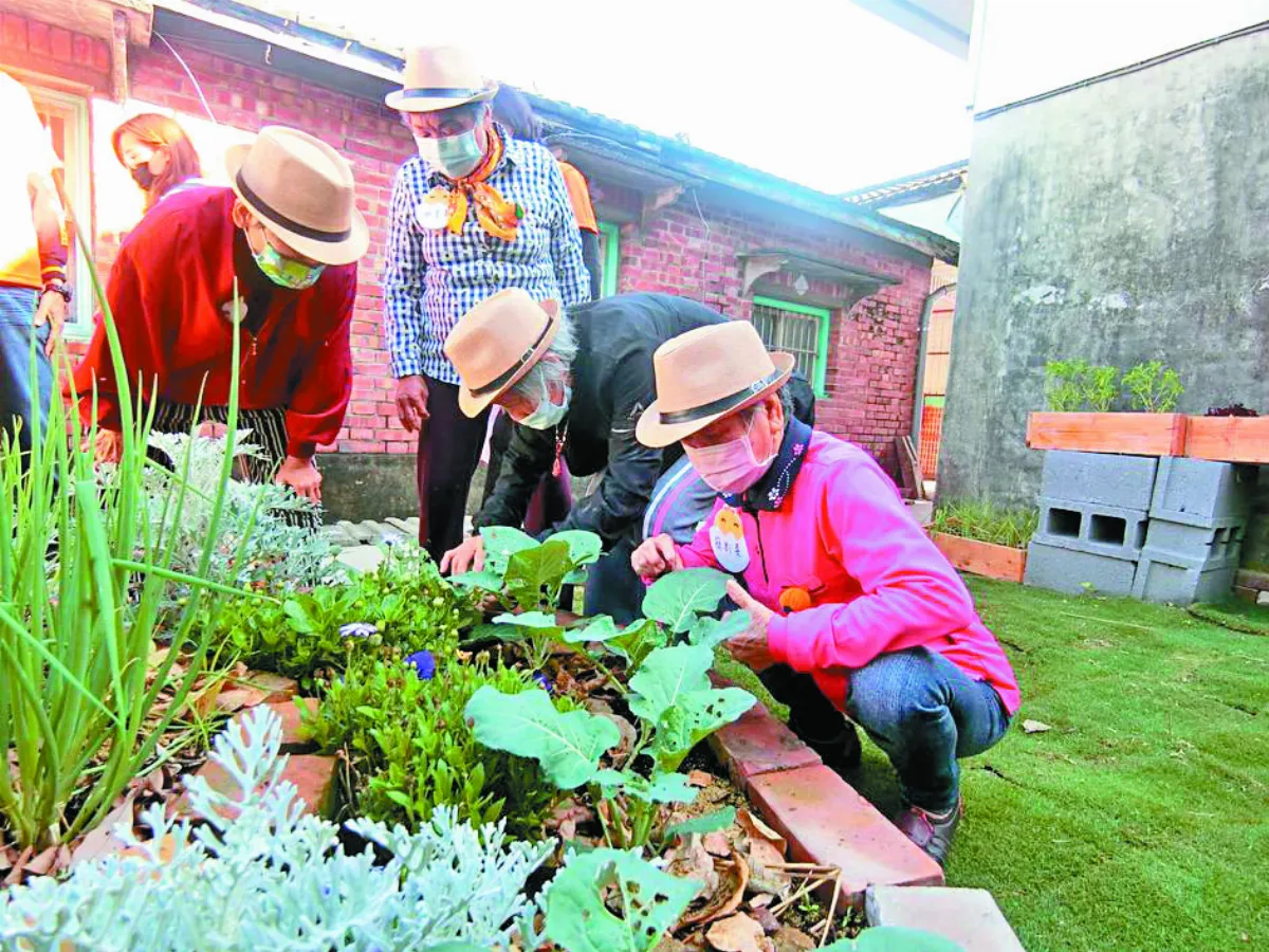 改造三合院 長輩種菜又養雞