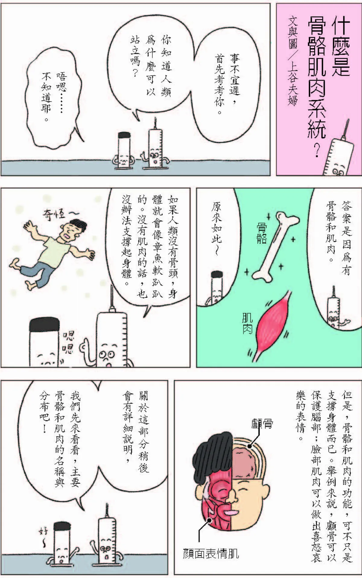 什麼是 骨骼肌肉系統？