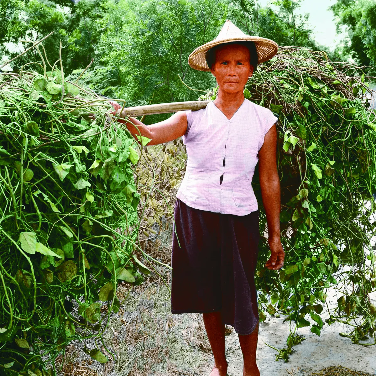 【時光走廊】    福星台灣：台灣容顏古早時光 ( 10-3 )阿母阿嬤