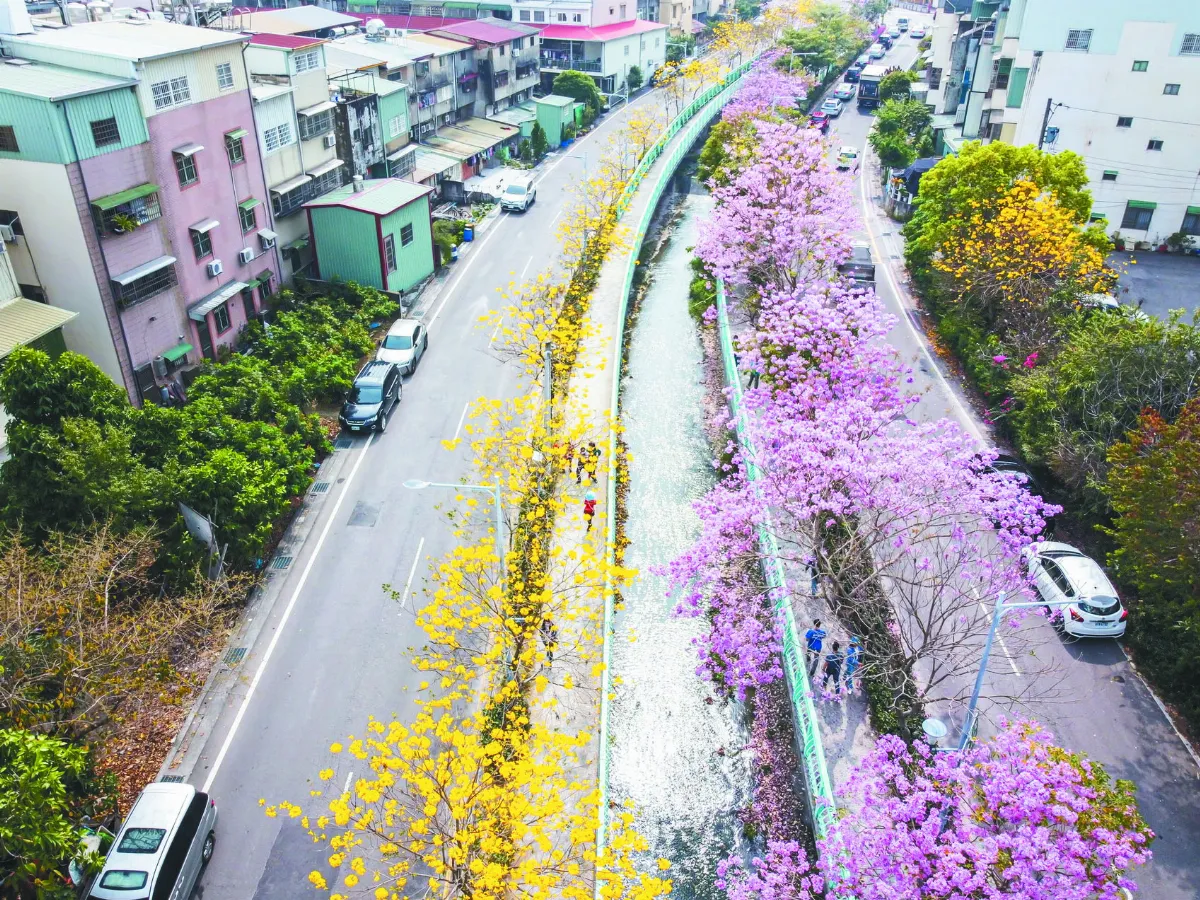 花毯鋪路