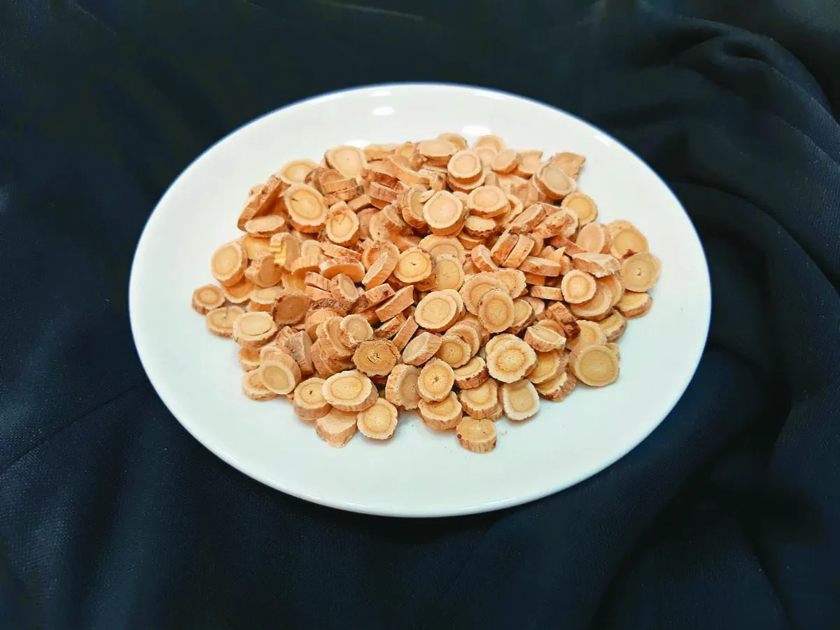 中醫專欄 肌肉筋骨痠痛復原法