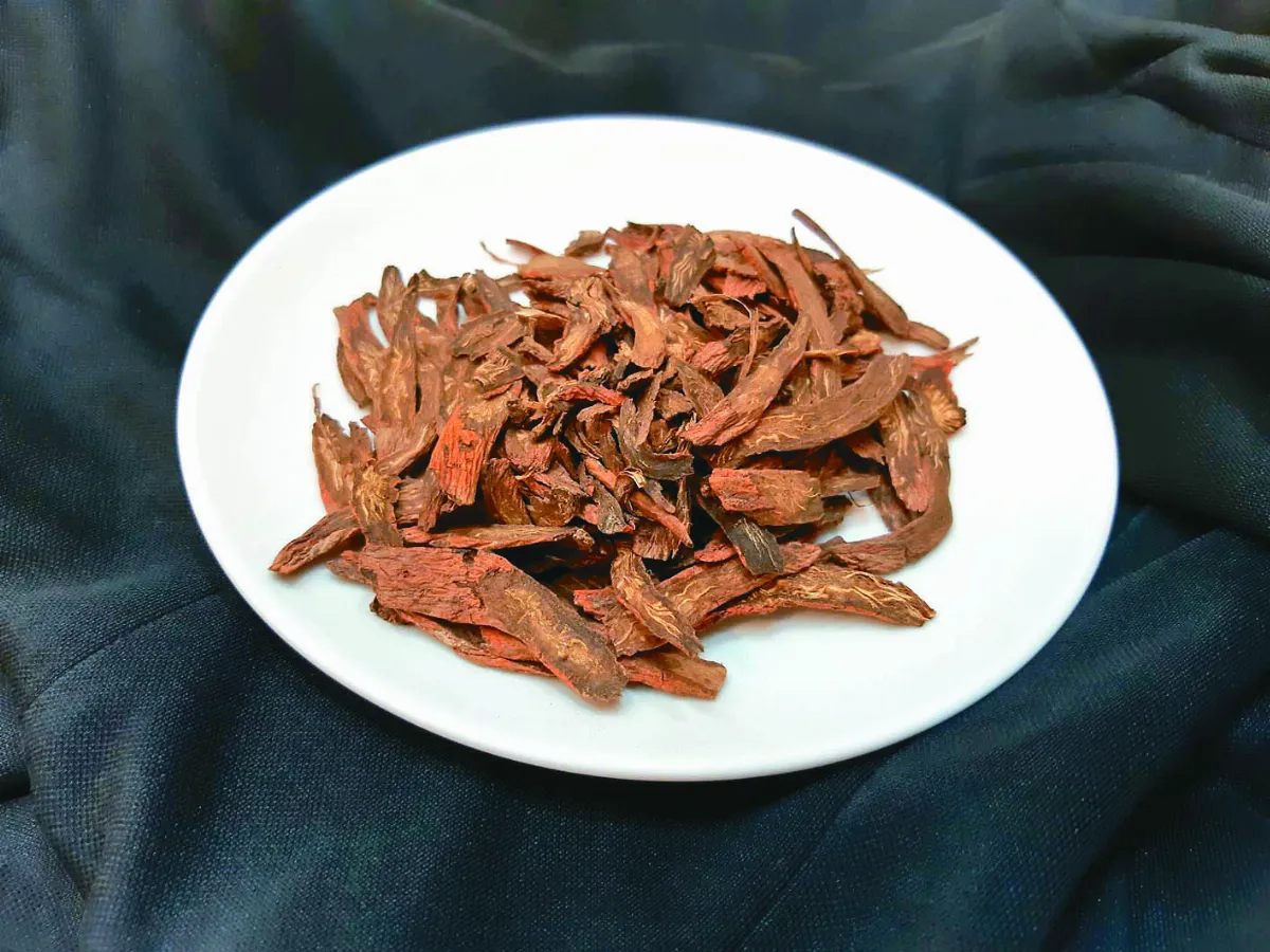 中醫專欄 肌肉筋骨痠痛復原法