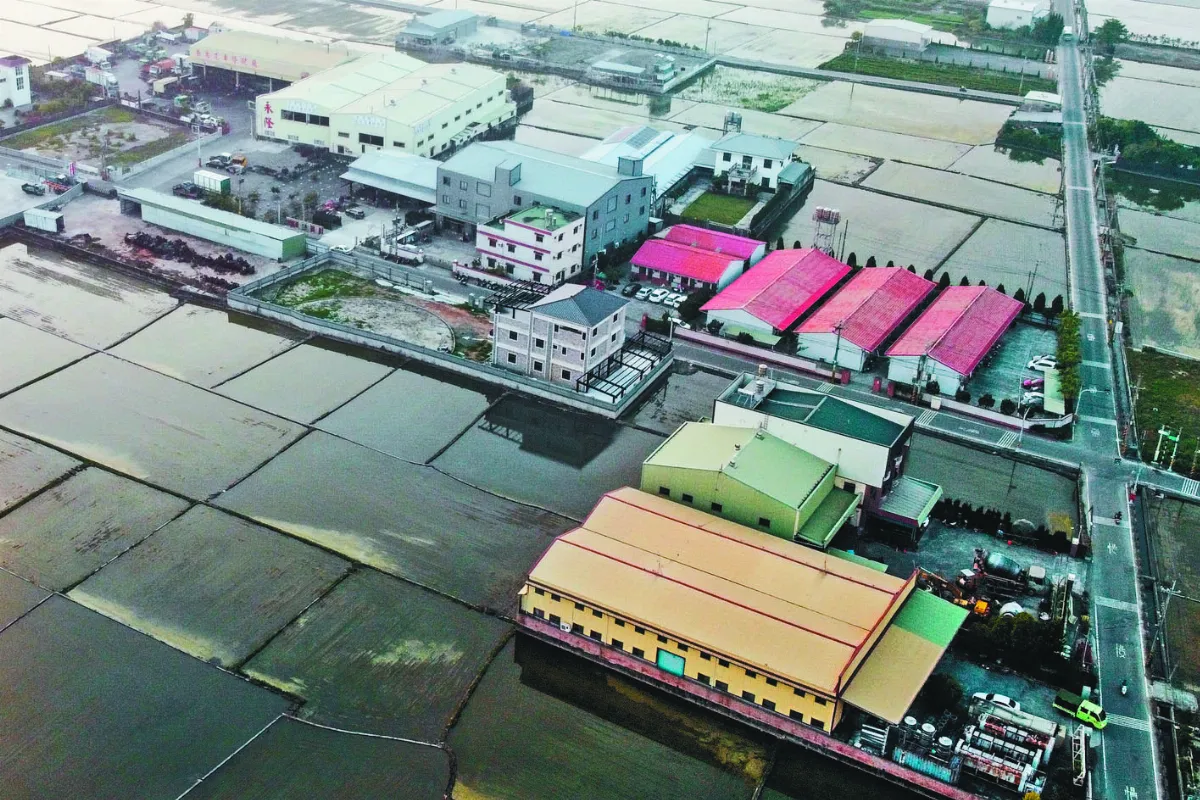 未納管農地工廠 環團籲斷水電
