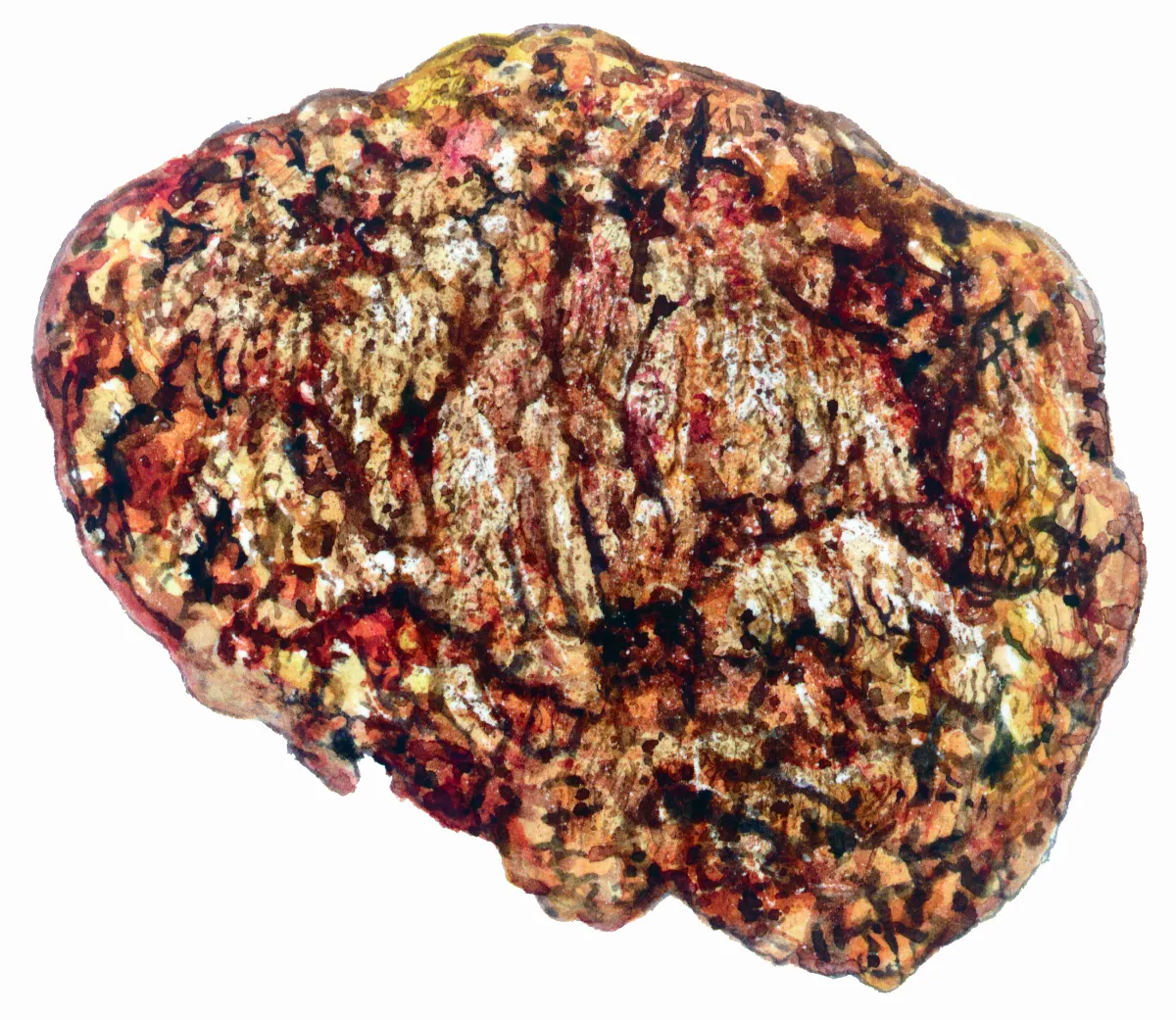 高手在民間 自然金 地質溫度計