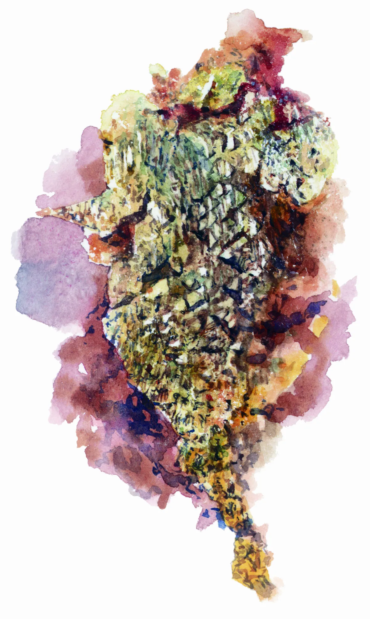 高手在民間 自然金 地質溫度計