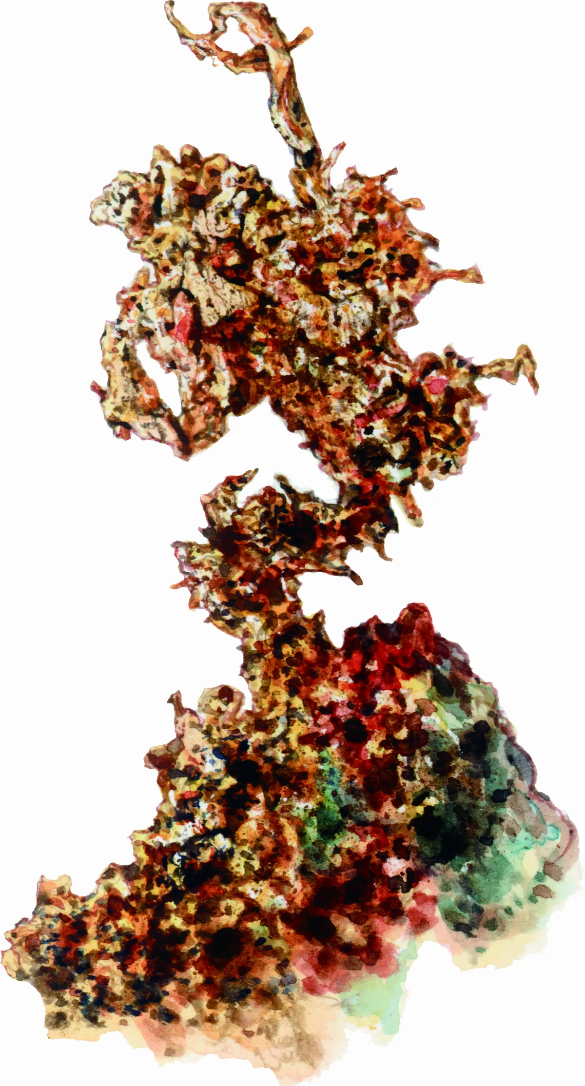 高手在民間 自然金 地質溫度計