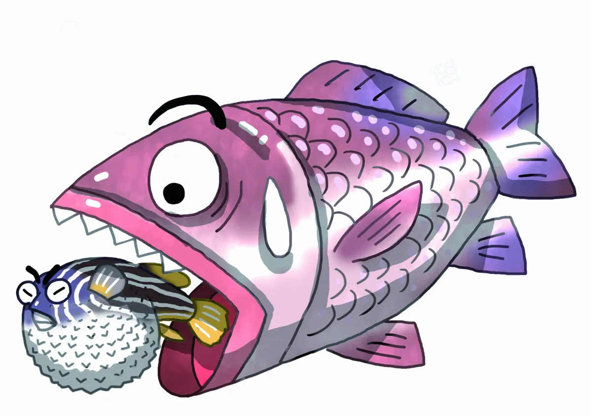 相愛相殺的生物  刺河豚 海中豪豬