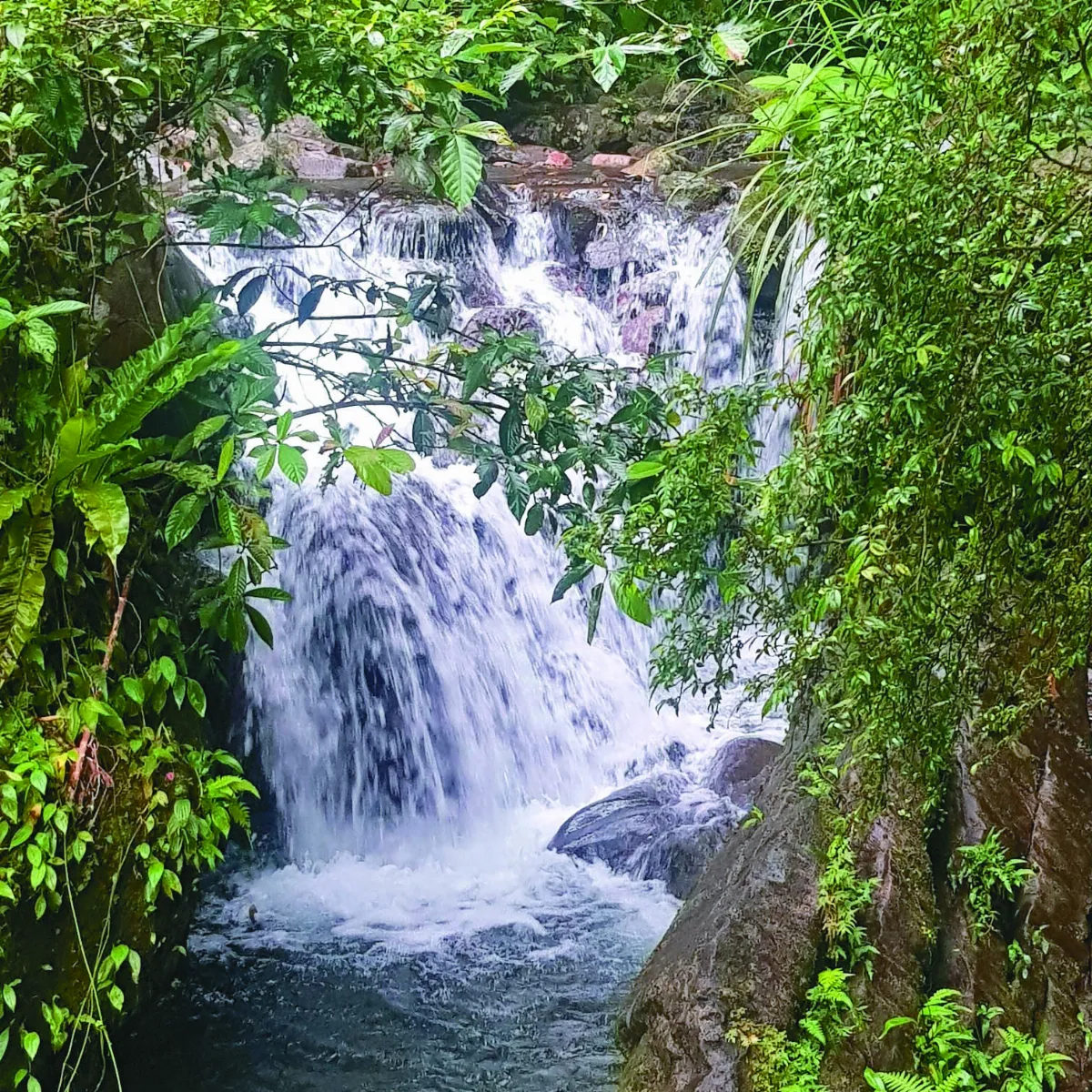 印象旅人 雨中遊五峰旗瀑布