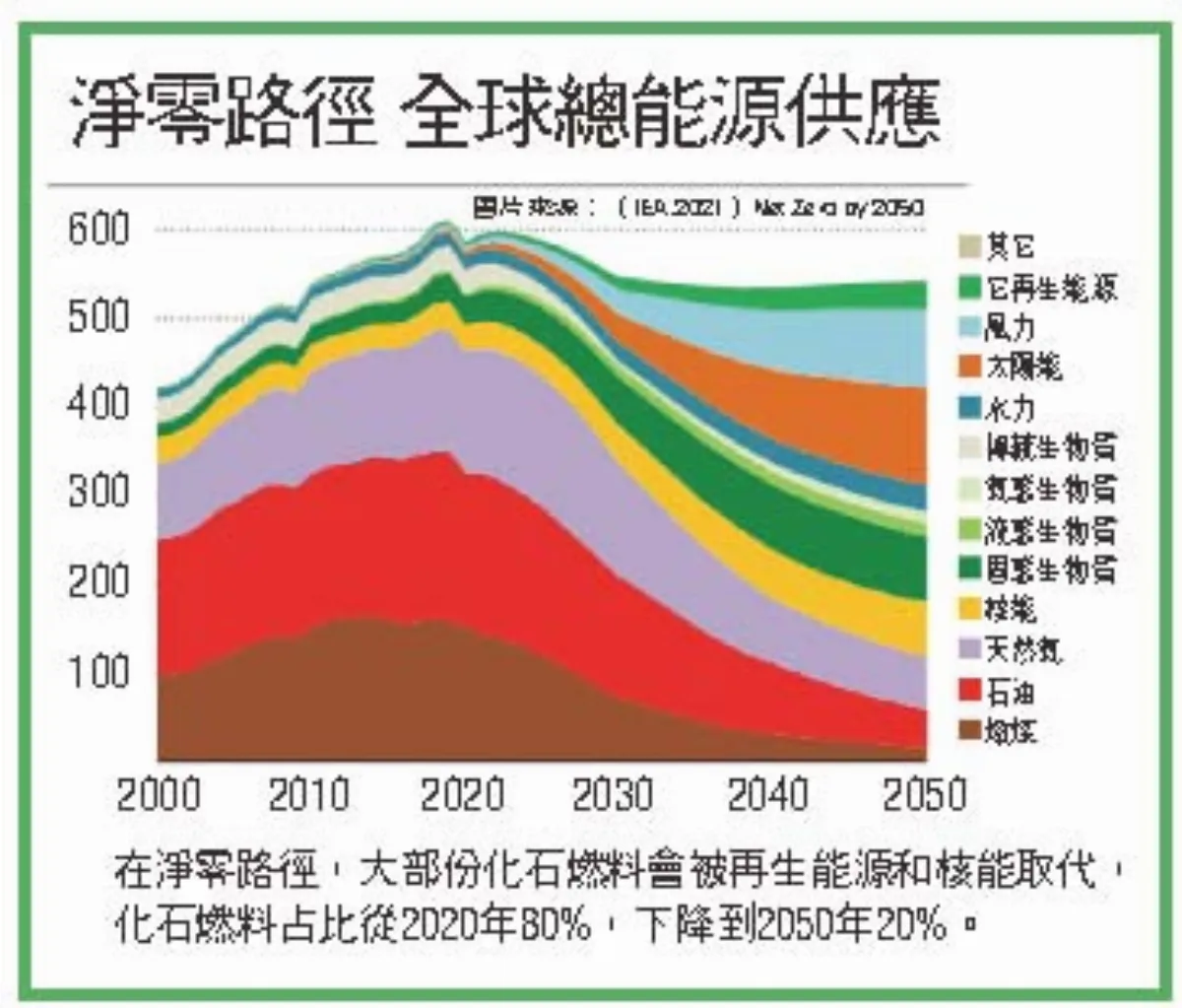 為全球淨零建立路徑