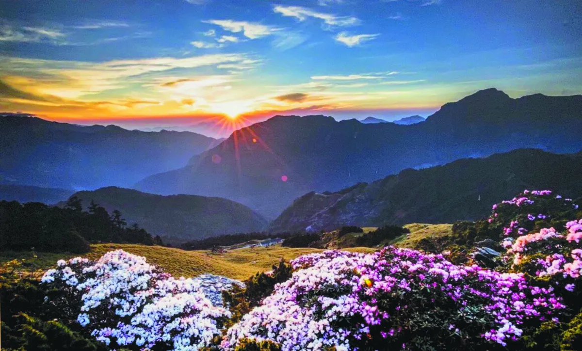 合歡山花季  首推高乘載