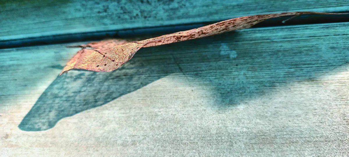 分享時刻 等待，是為了看見