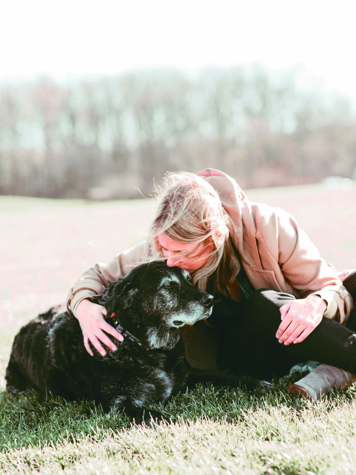 臨終攝影 幫飼主留住寵物身影