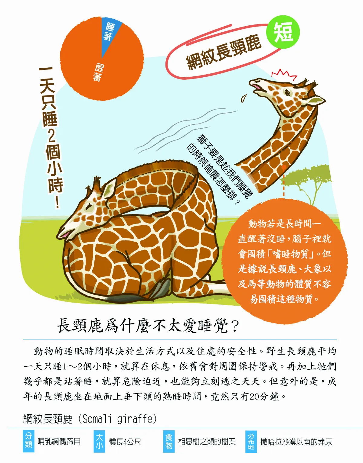 明明都是哺乳類 睡眠時間差太多