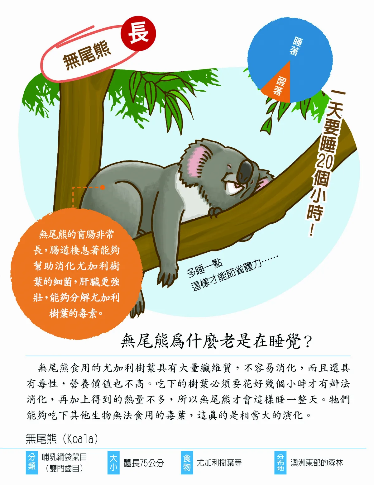 明明都是哺乳類 睡眠時間差太多
