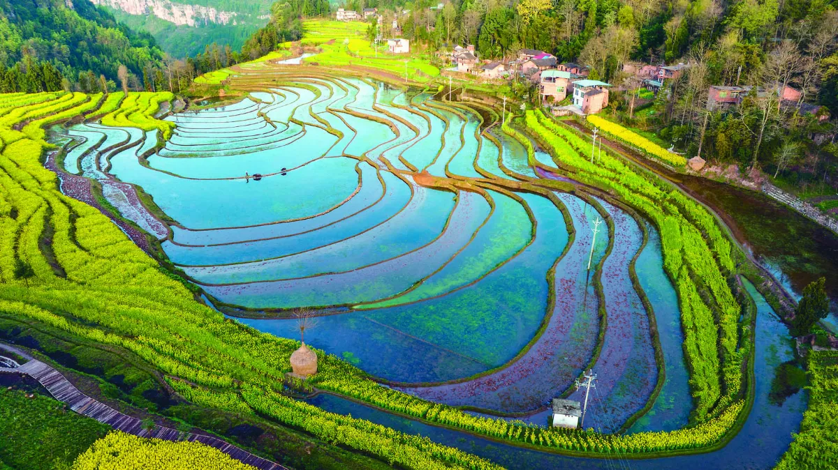 春耕忙