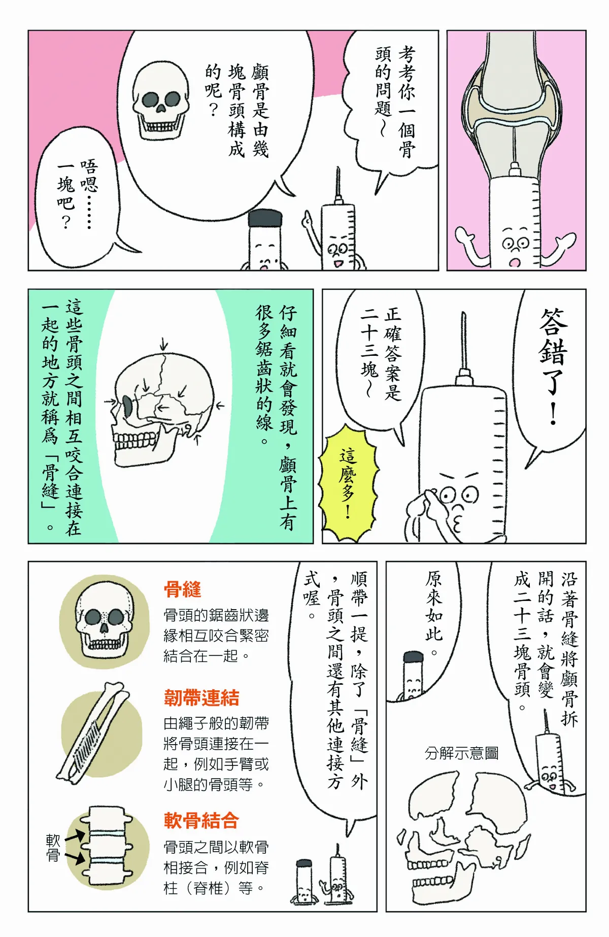 我家哪有這麼科學 人體身上有幾處關節？