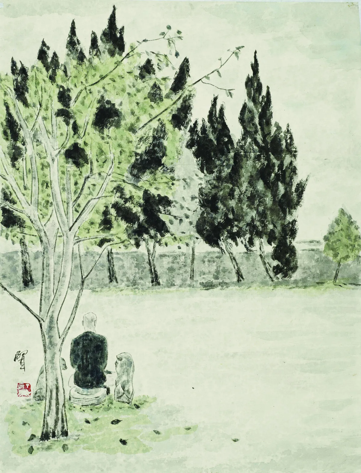 節氣24帖   五苓一年  清明‧樹下‧菩提