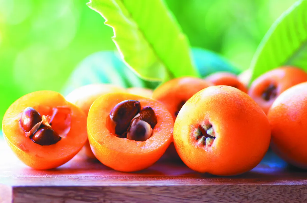 黃金水果枇杷  潤肺袪痰止咳