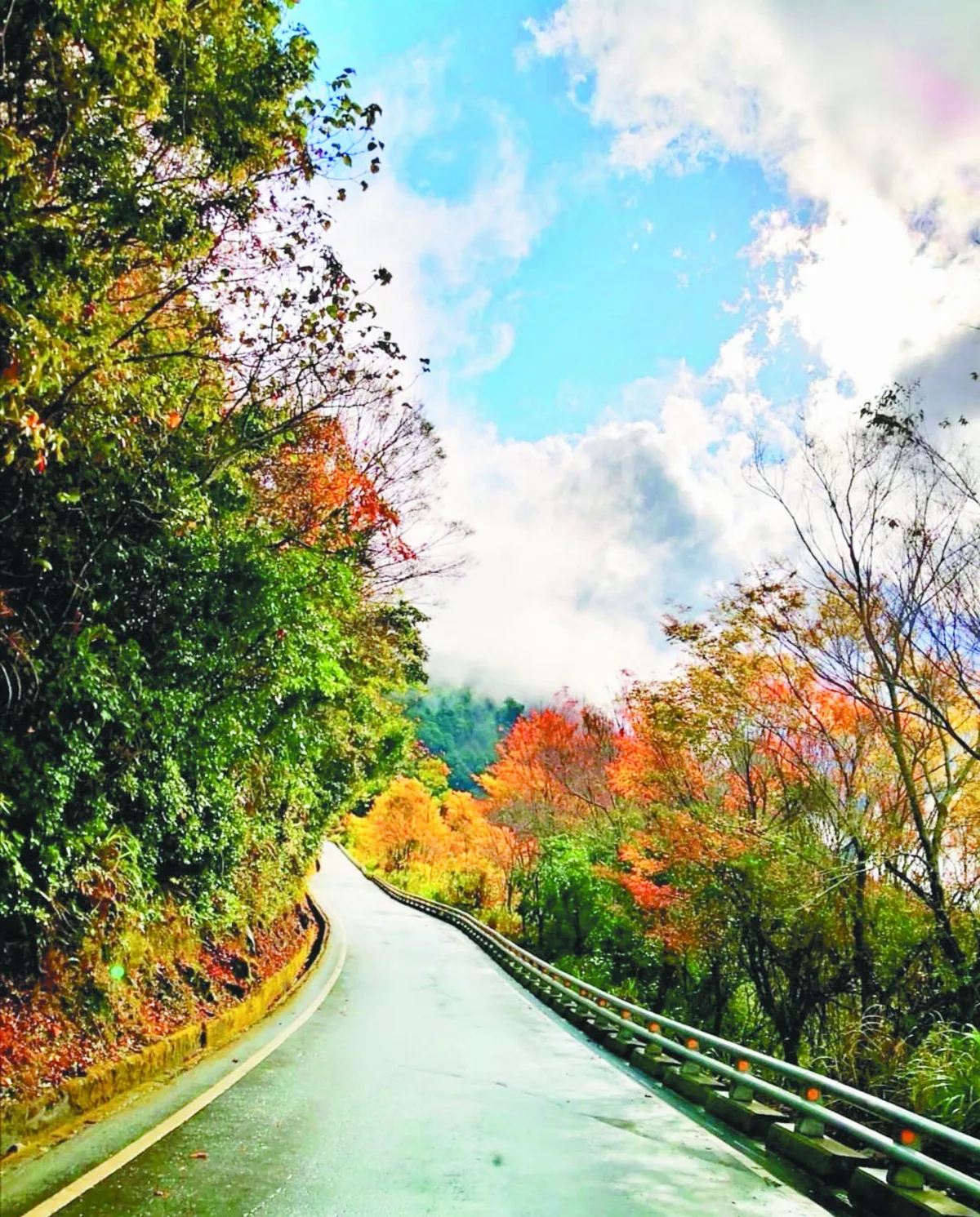 整修13年 南橫月底有條件通車
