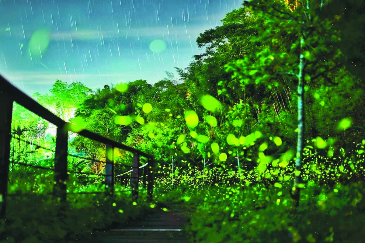 螢光閃閃 爆發到夏天