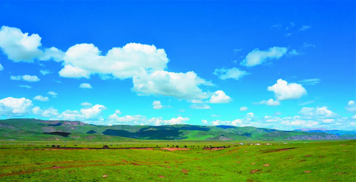 隨堂開示錄─教育講習17 信仰的宗要是什麼5-5