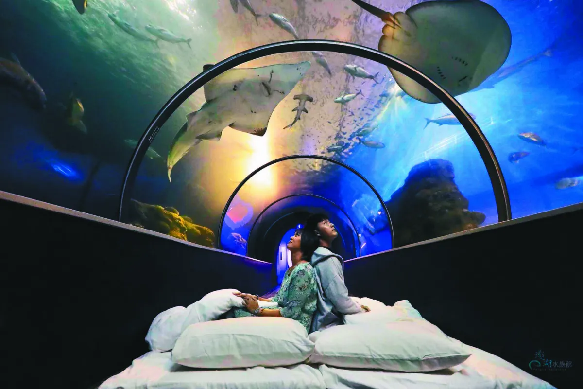 夜宿澎湖水族館  魟魚同入夢