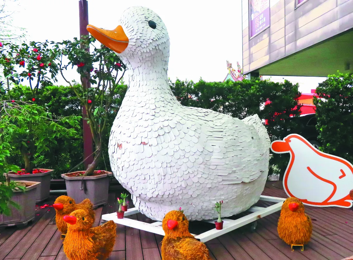 生活快門 母鴨帶小鴨