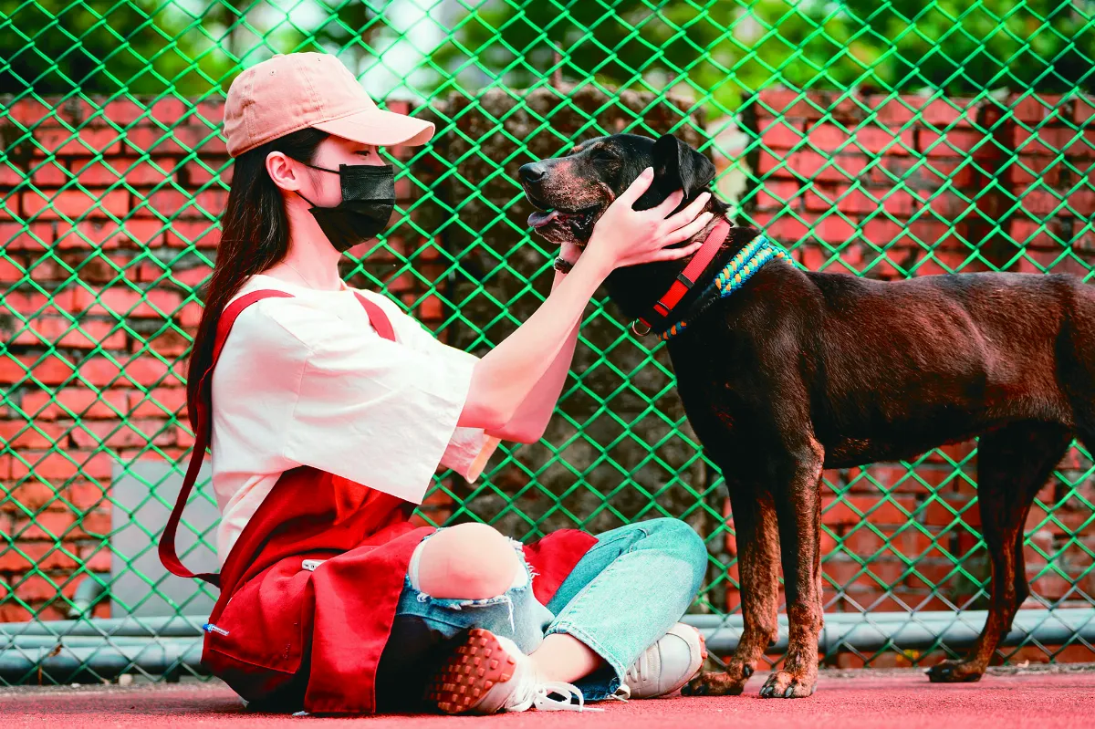 提升黑犬領養率  動保處創意發想